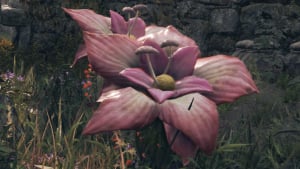 poison flower wildlife creature elden ring wiki guide 300px
